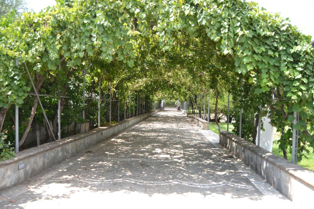 I Giardini Del Vesuvio Villa Somma Vesuviana Buitenkant foto