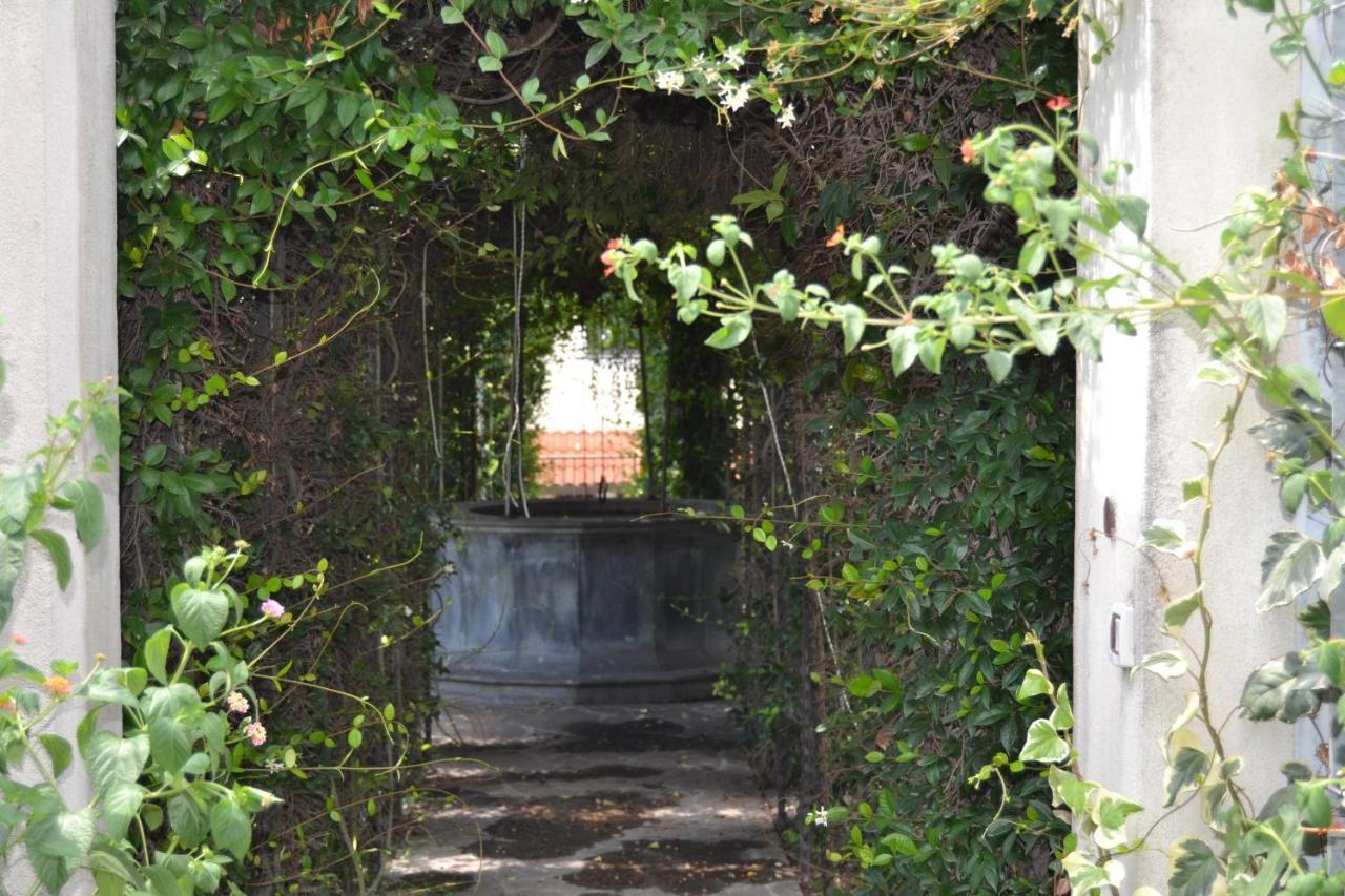 I Giardini Del Vesuvio Villa Somma Vesuviana Buitenkant foto